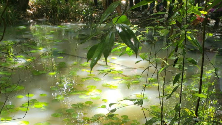 Imagem de vitrine